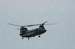 Dcim6051/DSC_1255