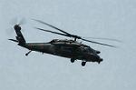 Dcim6053/DSC_1446