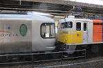 Dcim6063/DSC_9431