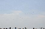 Dcim6065/DSC_9811