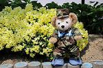 Dcim6067/DSC_0013