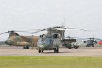 Dcim6069/DSC_0898