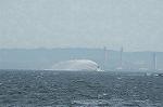 Dcim6073/DSC_1640