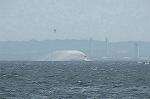 Dcim6073/DSC_1641