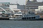 Dcim6073/DSC_1731