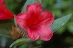 Dcim6083/DSC_2026