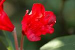 Dcim6083/DSC_2032