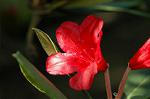 Dcim6083/DSC_2034