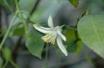 Dcim6084/DSC_2183