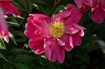 Dcim6086/DSC_2426