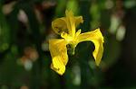 Dcim6086/DSC_2456