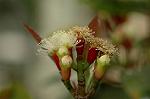 Dcim6086/DSC_2485