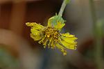 Dcim6086/DSC_2511