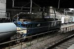 Dcim6095/DSC_1828