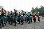 Dcim6095/DSC_1914