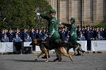 Dcim6098/DSC_2295