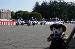 Dcim6099/DSC_2386