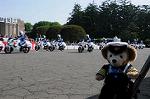 Dcim6099/DSC_2387