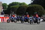 Dcim6099/DSC_2394