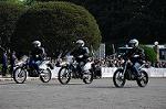 Dcim6099/DSC_2398