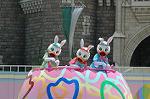Dcim6100/DSC_2728