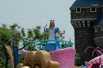 Dcim6100/DSC_2733