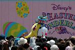 Dcim6101/DSC_2794