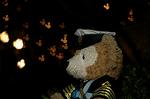 Dcim6102/DSC_2989