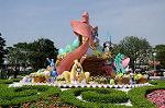 Dcim6103/DSC_2482