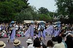 Dcim6106/DSC_2909