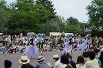 Dcim6106/DSC_2910