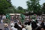 Dcim6106/DSC_2931