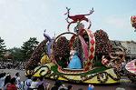 Dcim6106/DSC_2951