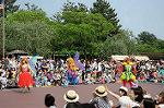 Dcim6106/DSC_2980