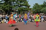 Dcim6106/DSC_2985