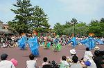 Dcim6107/DSC_3043