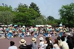 Dcim6107/DSC_3044
