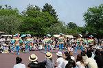 Dcim6107/DSC_3045