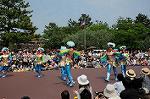 Dcim6107/DSC_3046
