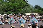 Dcim6107/DSC_3078