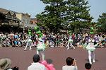 Dcim6107/DSC_3121