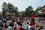 Dcim6108/DSC_3148