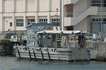 Dcim6115/DSC_3139
