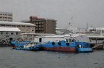 Dcim6120/DSC_4233