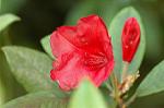 Dcim6136/DSC_4074