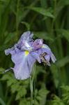 Dcim6136/DSC_4076