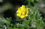Dcim6138/DSC_4426