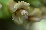 Dcim6139/DSC_4507