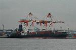 Dcim6141/DSC_4578