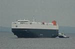 Dcim6141/DSC_4581